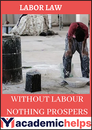 Labour Law Assignment Help